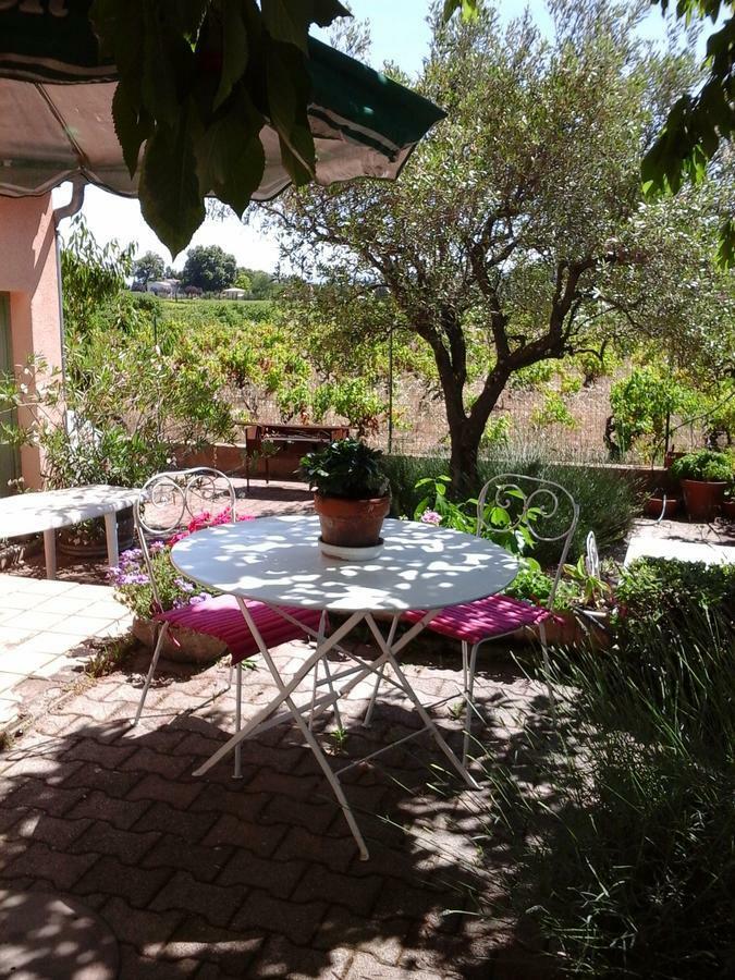 Vents D'Anges Bed & Breakfast Sainte-Cécile-les-Vignes Екстериор снимка